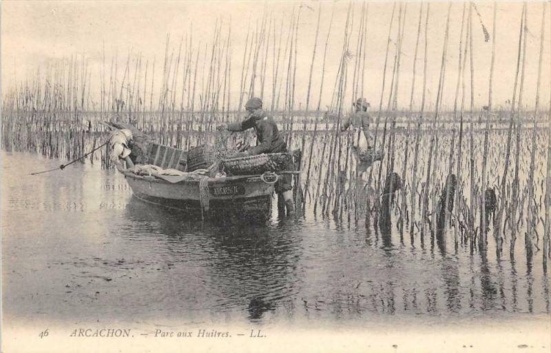 Carte postale ancienne Arcachon Parc Aux Huitres à Arcachon