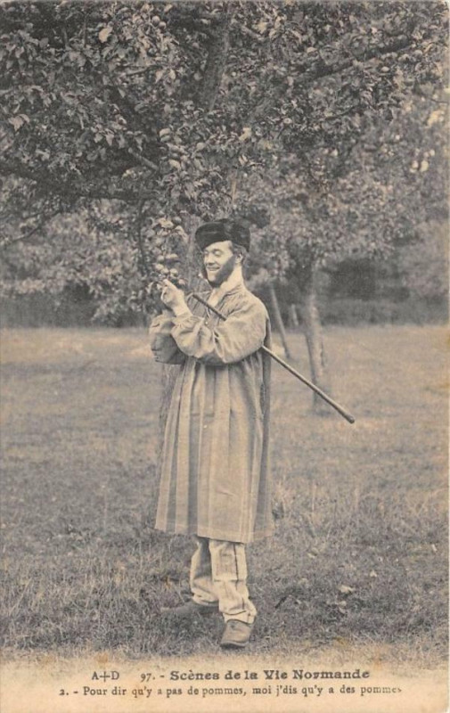 Carte postale ancienne Scenes De La Vie Normande Pour Dir Qu'Y A Pas De Pommes