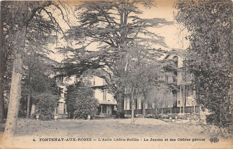 Carte postale ancienne Fontenay Aux Roses L´ASILE Ledru Rollin Jardin Et Ses Cedres Geants à Fontenay-aux-Roses