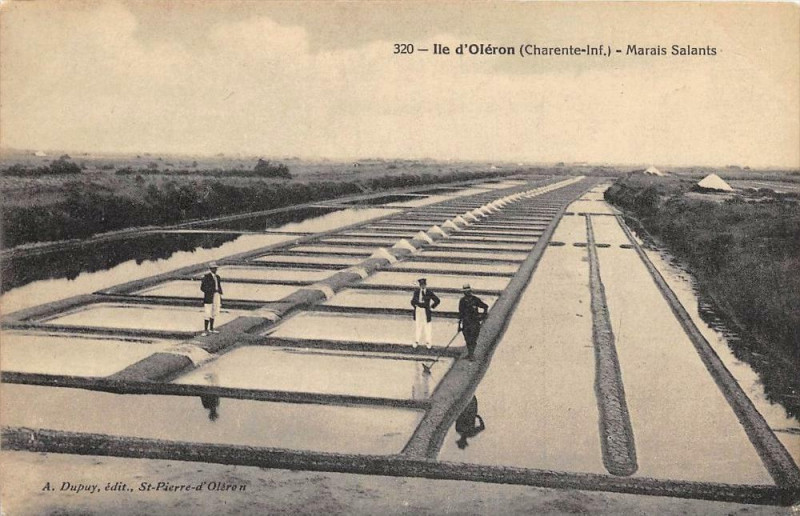 Carte postale ancienne Ile D´OLERON Marais Salants