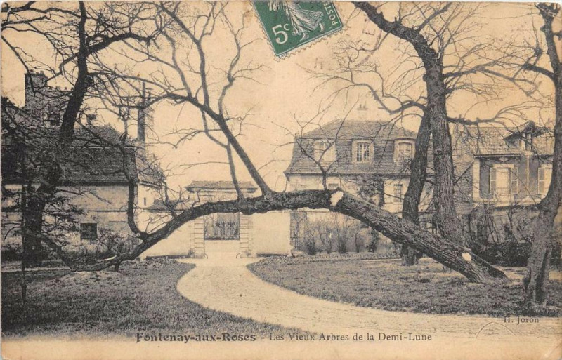 Carte postale ancienne Fontenay Aux Roses Les Vieux Arbres De La Demi Lune à Fontenay-aux-Roses
