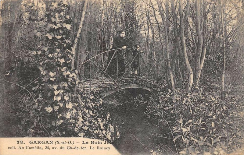 Carte postale ancienne Gargan Le Bois Joli