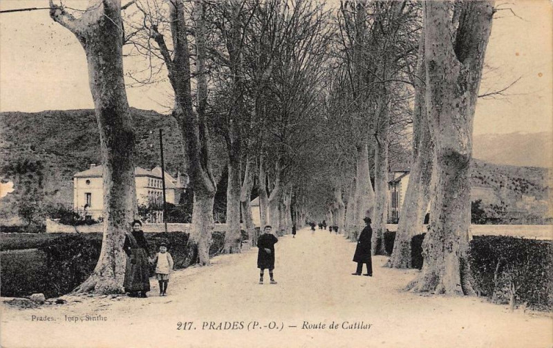 Carte postale ancienne Prades Route De Catllar à Prades
