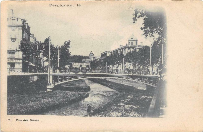 Carte postale ancienne Perpignan Vue Des Quais  (dos non divisé) à Perpignan