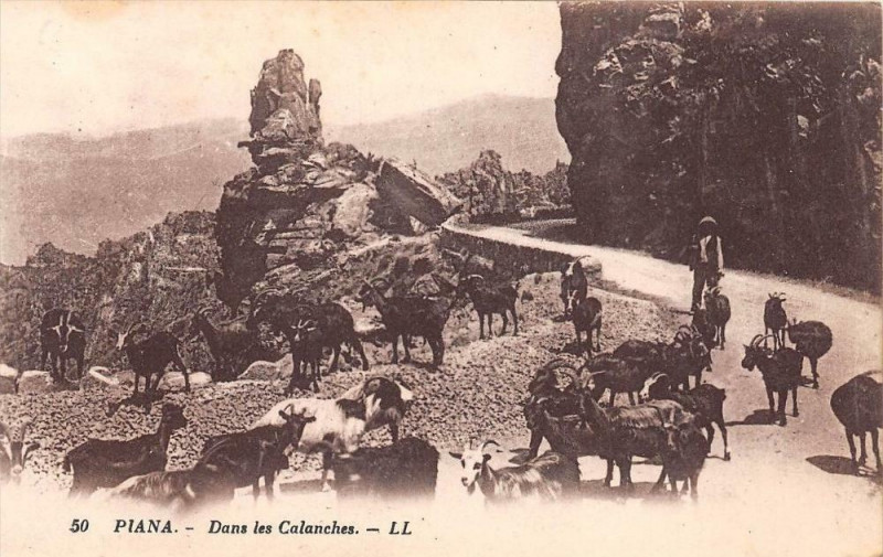 Carte postale ancienne 20 Corse Piana Dans Les Calanches à Piana