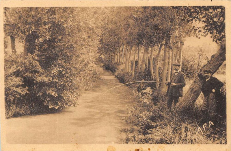 Carte postale ancienne Thuir Environs De Thuir à Thuir