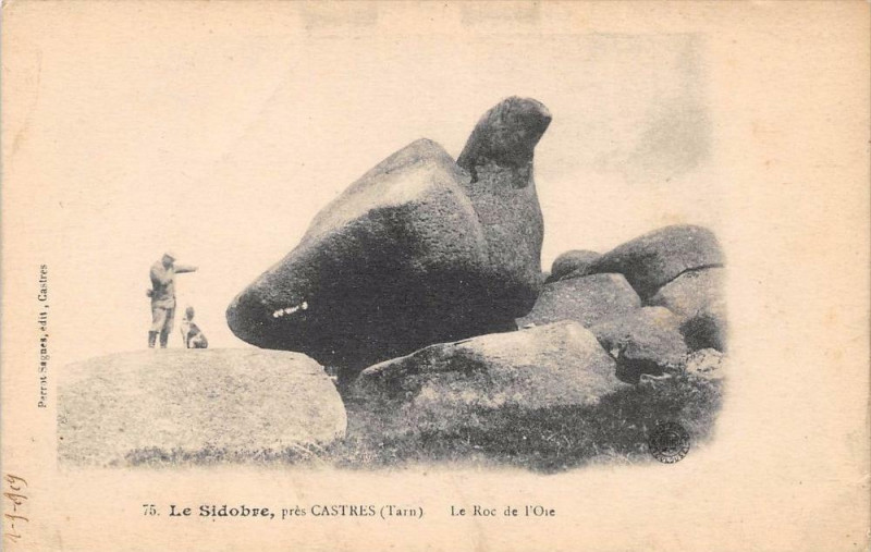 Carte postale ancienne Le Sidobre pres Castres - Le Roc de l'Oie à Castres