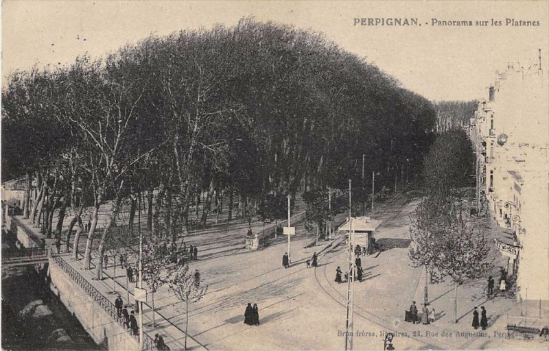 Carte postale ancienne Perpignan Panorama Sur Les Platanes à Perpignan