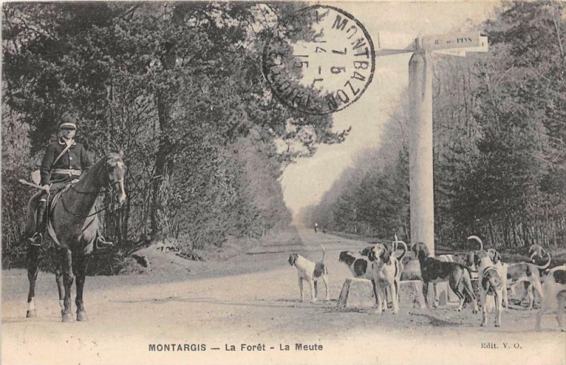 Carte postale ancienne Montargis La Foret La Meute à Montargis