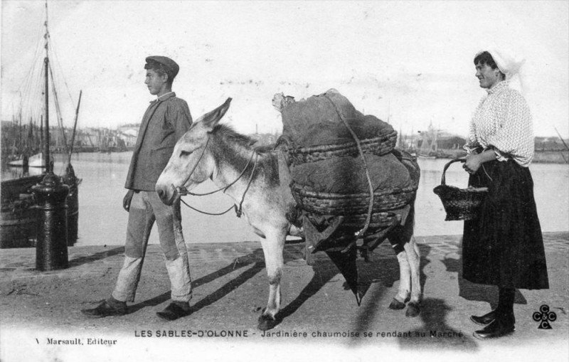Carte postale ancienne Les Sables D'Olonne Jardiniere Chaumoise Se Rendant Au Marche (dos non di aux Sables-d'Olonne