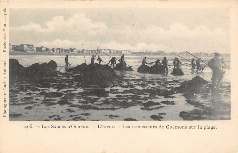 Carte postale ancienne Les Sables D'Olonne L'Hiver Les Ramasseurs De Goemons Sur La Plage  (dos aux Sables-d'Olonne