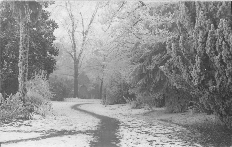 Carte postale ancienne Agen Sous La Neige Carte Photo Decembre 1931 Un Coin Du Jardin Public (cl à Agen