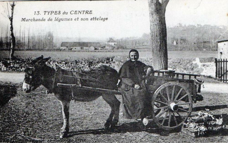 Carte postale ancienne Types Du Centre marchande de légumes et son attelage (Gros Plan Superbe C