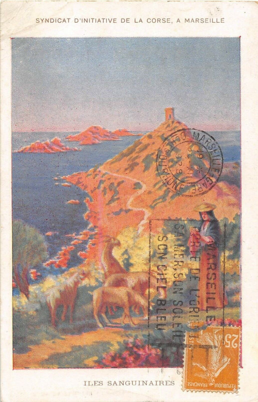 Carte postale ancienne 20 Corse Syndicat D'Initiative De La Corse A Marseille Iles Sanguinaires