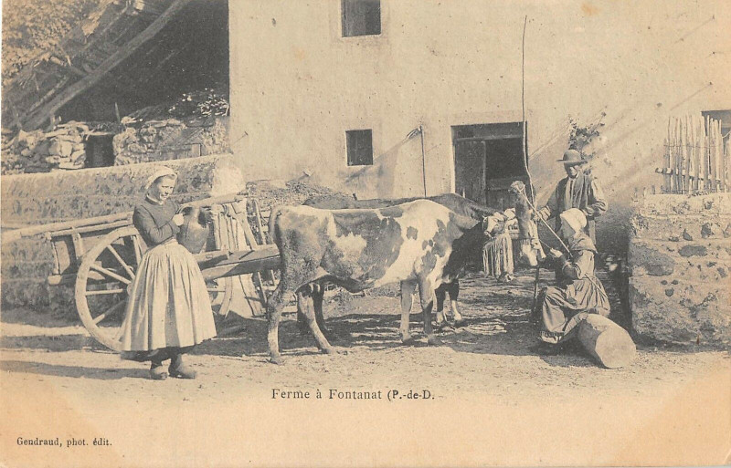 Carte postale ancienne Ferme A Fontanat (dos non divisé)