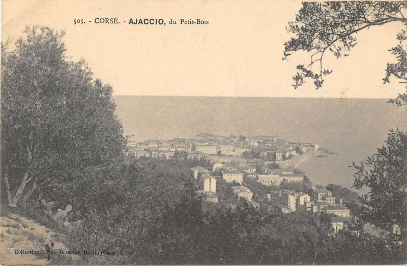 Carte postale ancienne 20 Corse Ajaccio Du Petit Bois à Ajaccio
