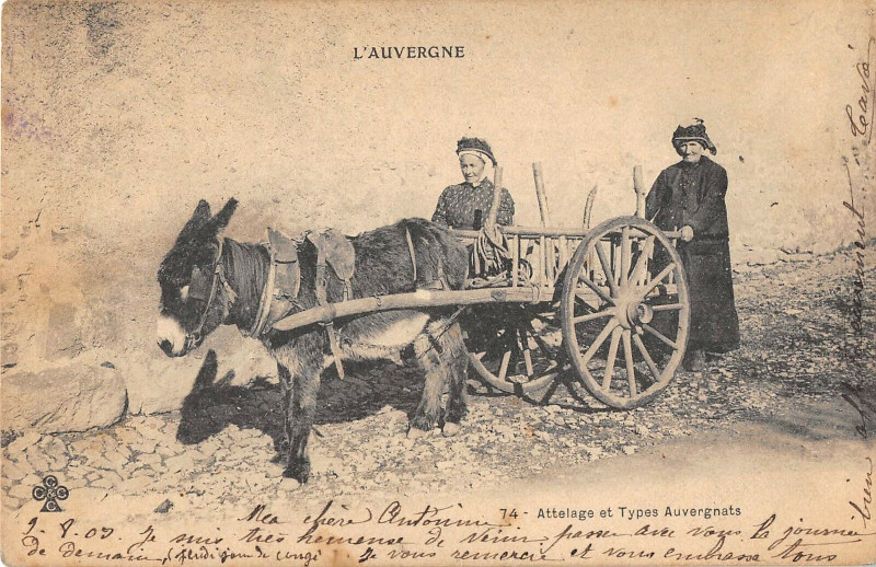 Carte postale ancienne Attelage Et Types Auvergnats (dos non divisé)