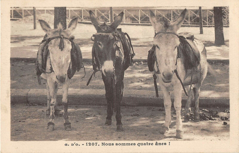 Carte postale ancienne L'Auvergne Nous Sommes 4 Anes