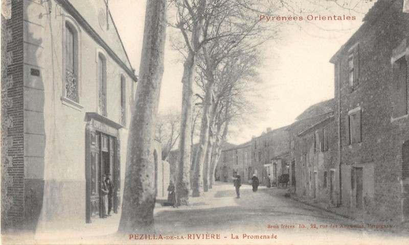 Carte postale ancienne Pezilla La Riviere La Promenade