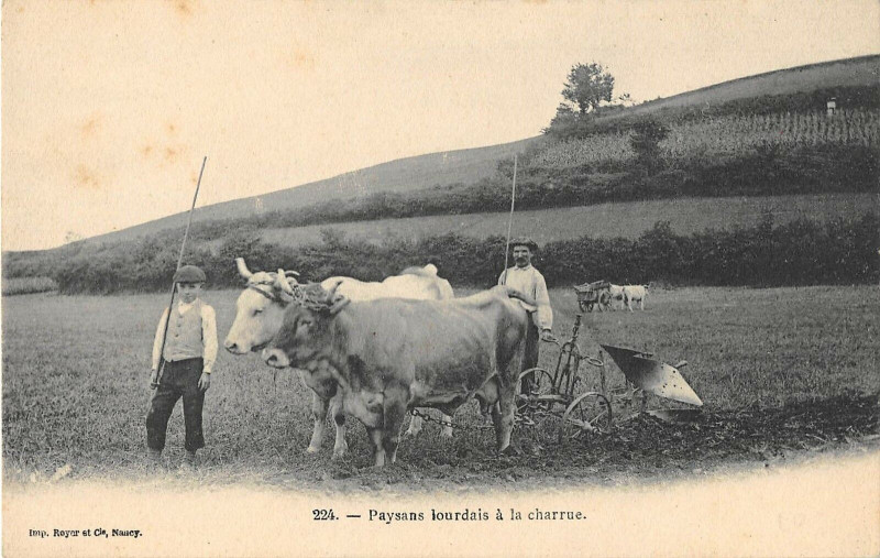 Carte postale ancienne Paysans Lourdais A La Charrue  (dos non divisé)