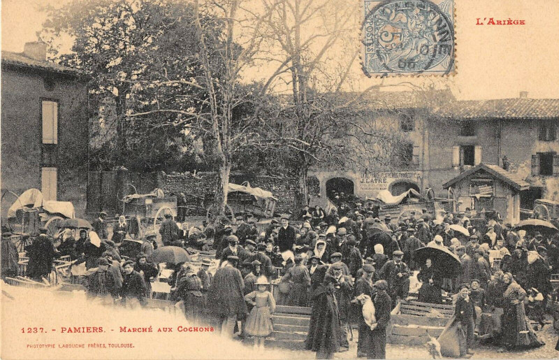Carte postale ancienne Pamiers Marche Aux Cochons à Pamiers