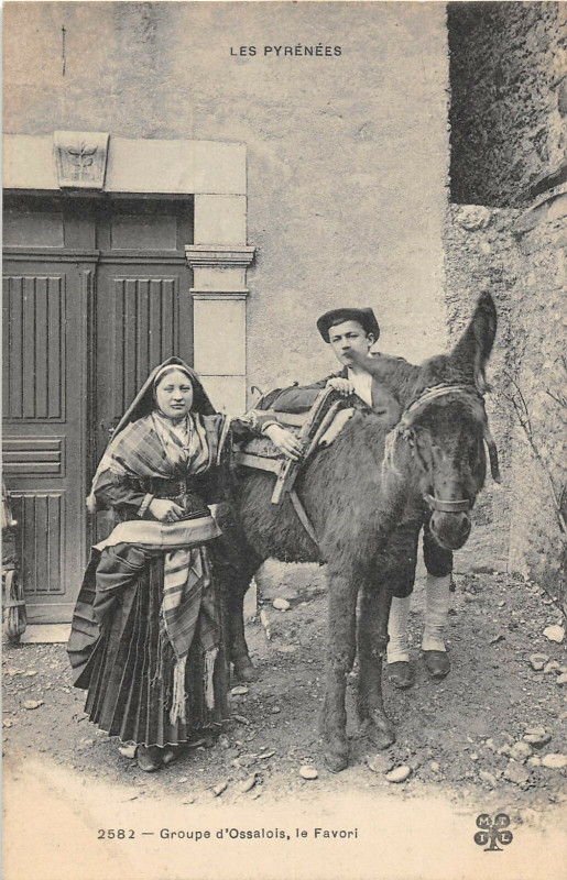Carte postale ancienne Groupe Ossalois Le Favori Ane