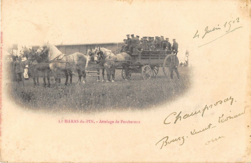 Carte postale ancienne Le Haras Du Pin Attelage De Percherons (dos non divisé)