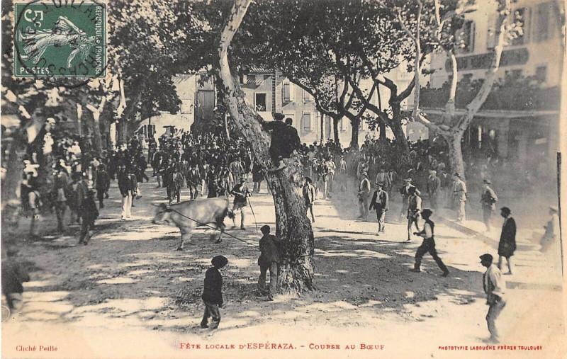 Carte postale ancienne Fete Locale D'Esperaza Course Au Boeuf