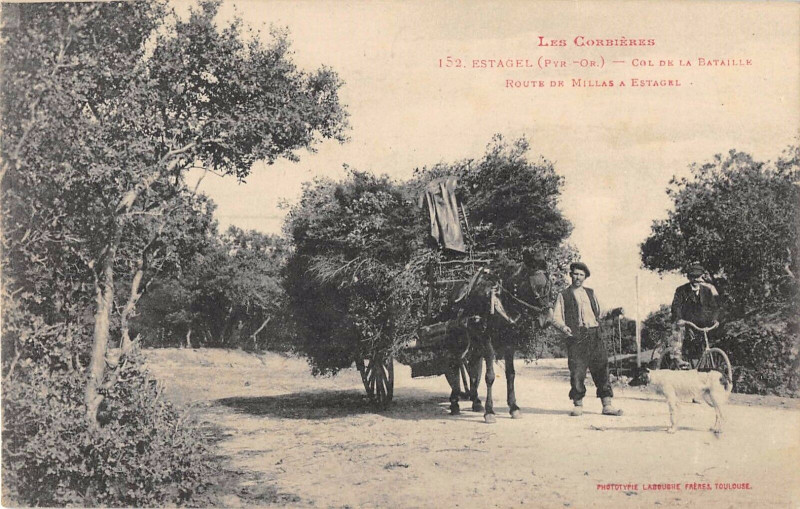 Carte postale ancienne Estagel Col De La Bataille Route De Millas A Estagel (Attelage à Estagel