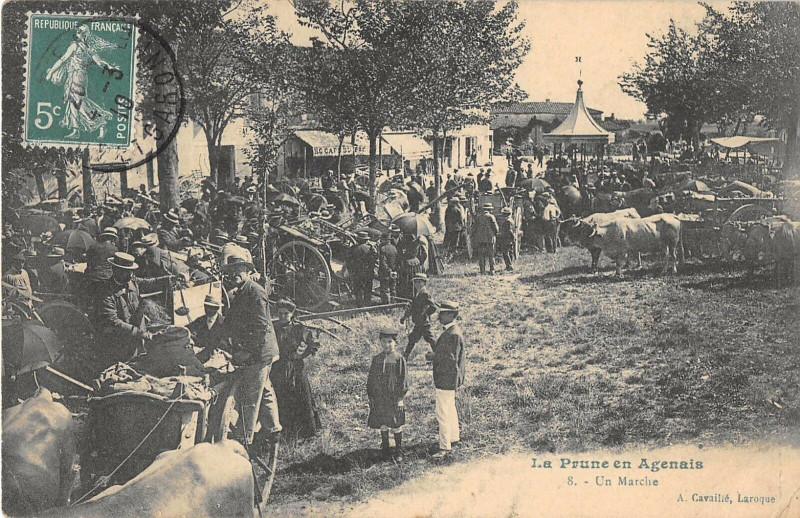 Carte postale ancienne La Prune En Agenais Un Marche à Agen