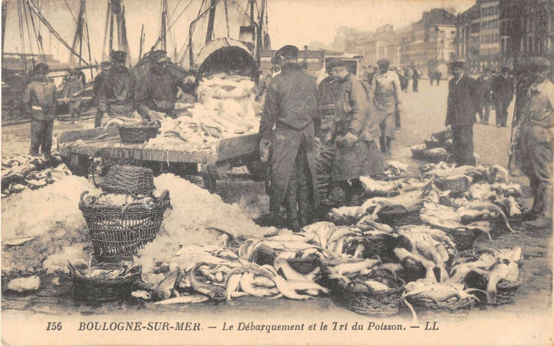 Carte postale ancienne Boulogne Le Debarquement Et Le Tri Du Poisson