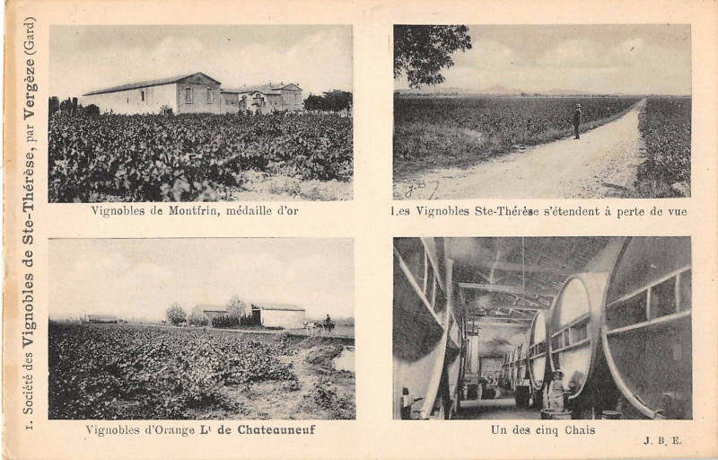 Carte postale ancienne Societe Des Vignobles De Sainte-Therese Par Vergeze à Vergèze