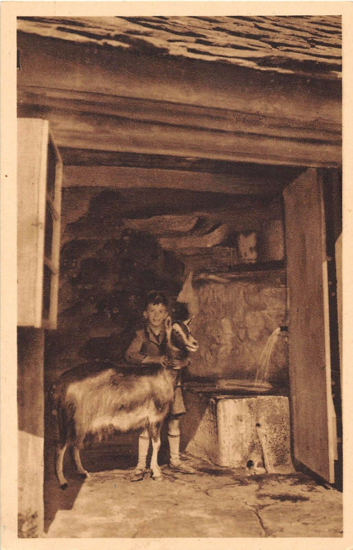 Carte postale ancienne Le Mont Gerbier Des Joncs La Source De La Loire