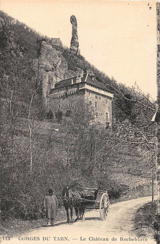 Carte postale ancienne Gorges Du Tarn Le Chateau De Rocheblave