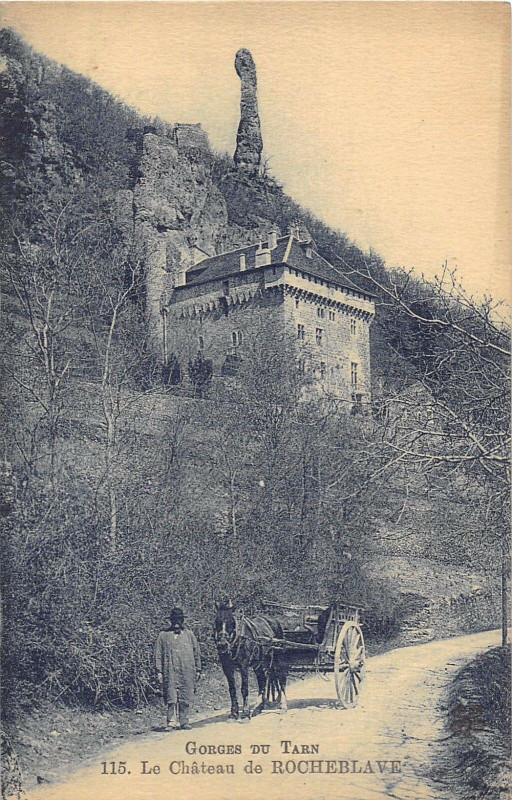 Carte postale ancienne Le Chateau De Rocheblave