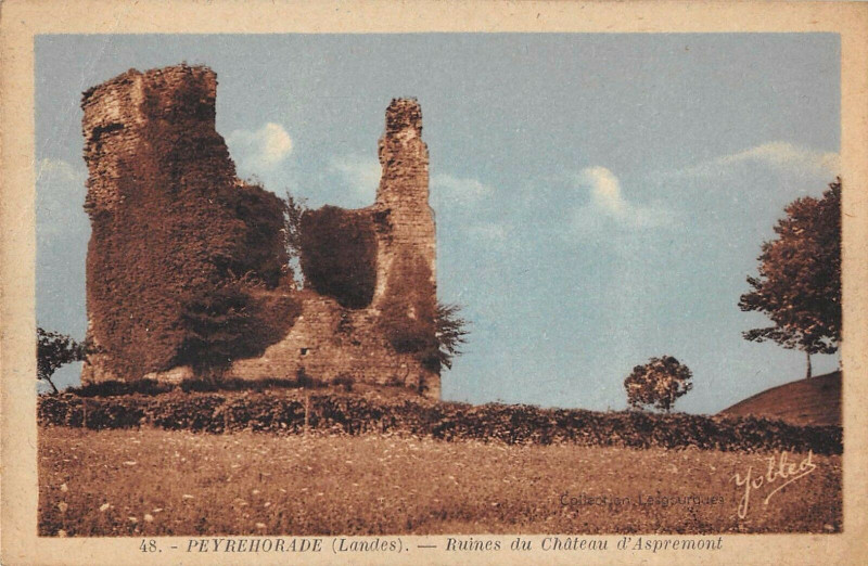 Carte postale ancienne Peyrehorade Ruines Du Chateau D'Aspremonts à Peyrehorade