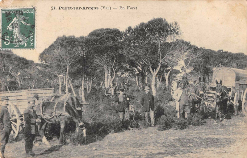 Carte postale ancienne Puget Sur Argens En Foret à Puget-sur-Argens