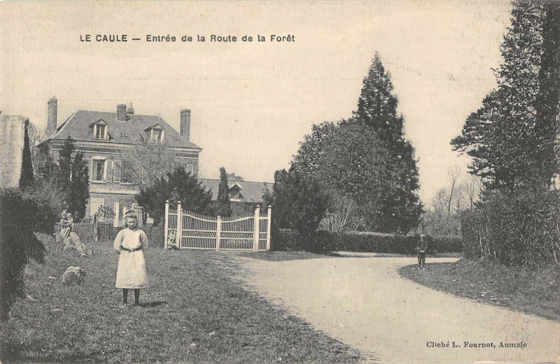 Carte postale ancienne La Caule Entree De La Route De La Foret