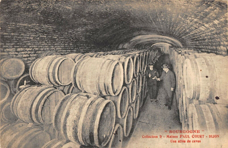 Carte postale ancienne Dijon Maison Paul Court Une Allee De Caves à Dijon