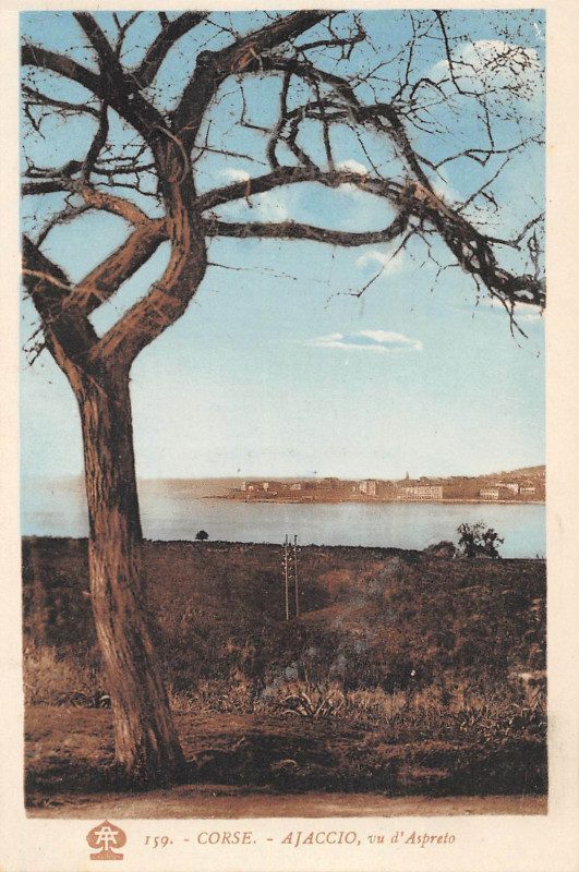Carte postale ancienne 20 Corse Ajaccio Vu D'Aspreto à Ajaccio