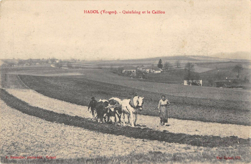 Carte postale ancienne Hadol Quinfaing Et Le Caillon à Hadol