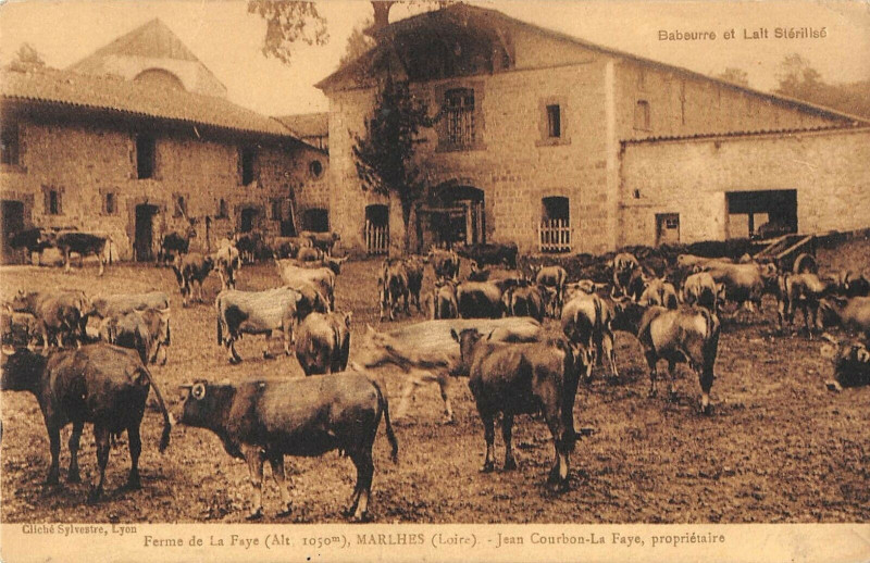 Carte postale ancienne Marlhes Ferme De La Faye Jean Courbon La Faye Proprietaire à Marlhes