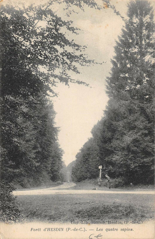 Carte postale ancienne Foret D'Hesdin Les 4 Sapins à Hesdin