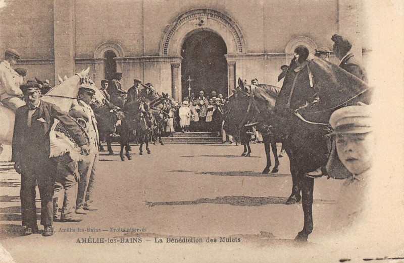 Carte postale ancienne Amelie Les Bains La Benediction Des Mulets