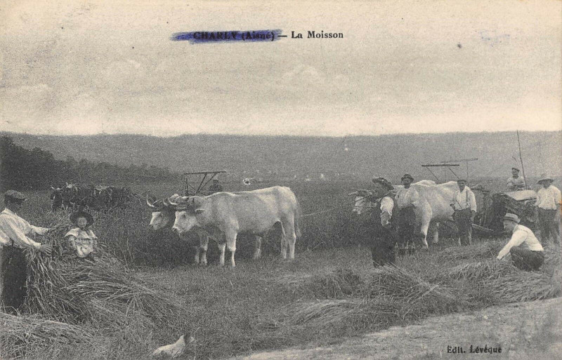 Carte postale ancienne Charly La Moisson à Harly