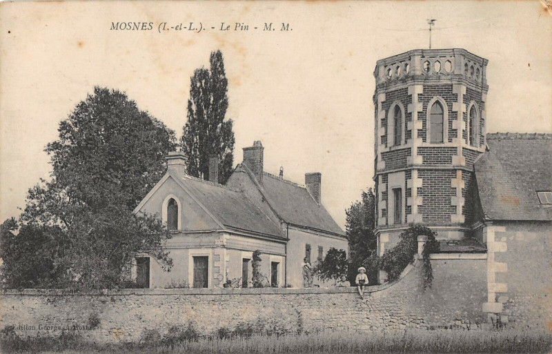 Carte postale ancienne Mosnes Le Pin à Mosnes