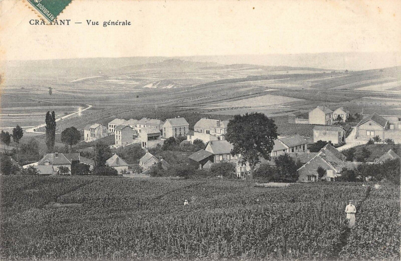Carte postale ancienne Cramant Vue Generale à Cramant