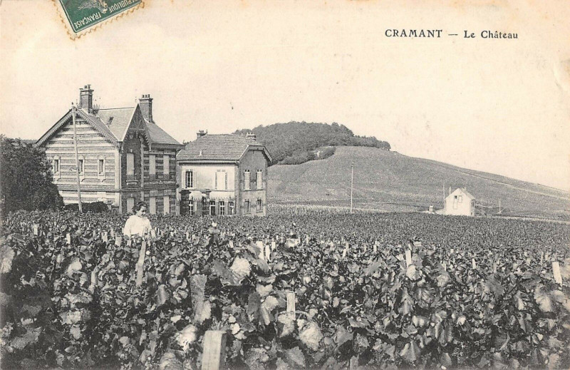 Carte postale ancienne Cramant Le Chateau (cliché pas courant à Cramant