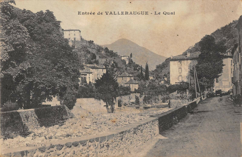 Carte postale ancienne Entree De Valleraugue Le Quai