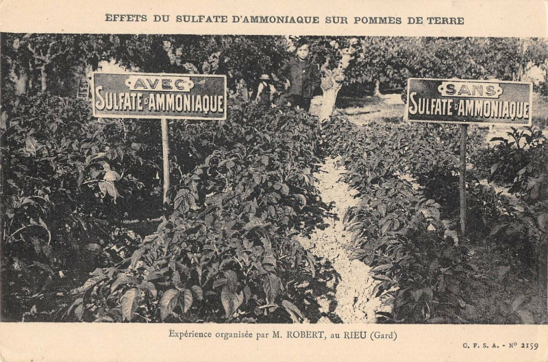Carte postale ancienne Rieu Experience Organisee Par M.robert Au Rieu